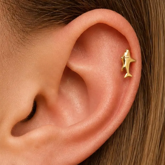 G23 Titanium Internally Threaded 3D Shark Tragus Labret