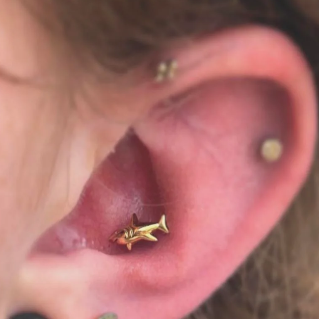 G23 Titanium Internally Threaded 3D Shark Tragus Labret