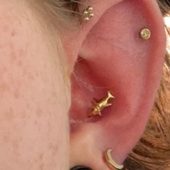 G23 Titanium Threadless Push In 3D Shark Tragus Labret