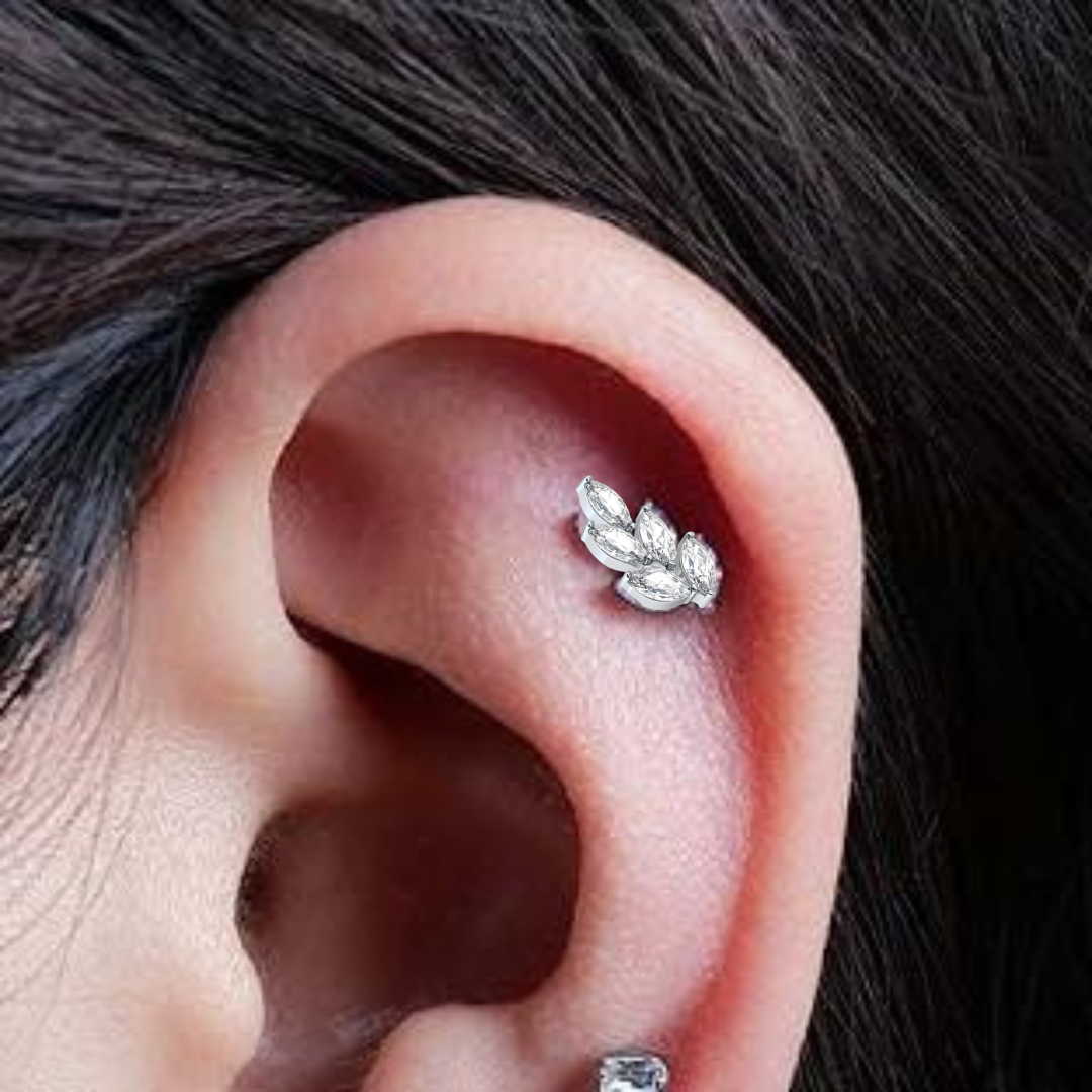 Steel Threadless Push In 5 Marquise CZ Leaf Tragus Labret