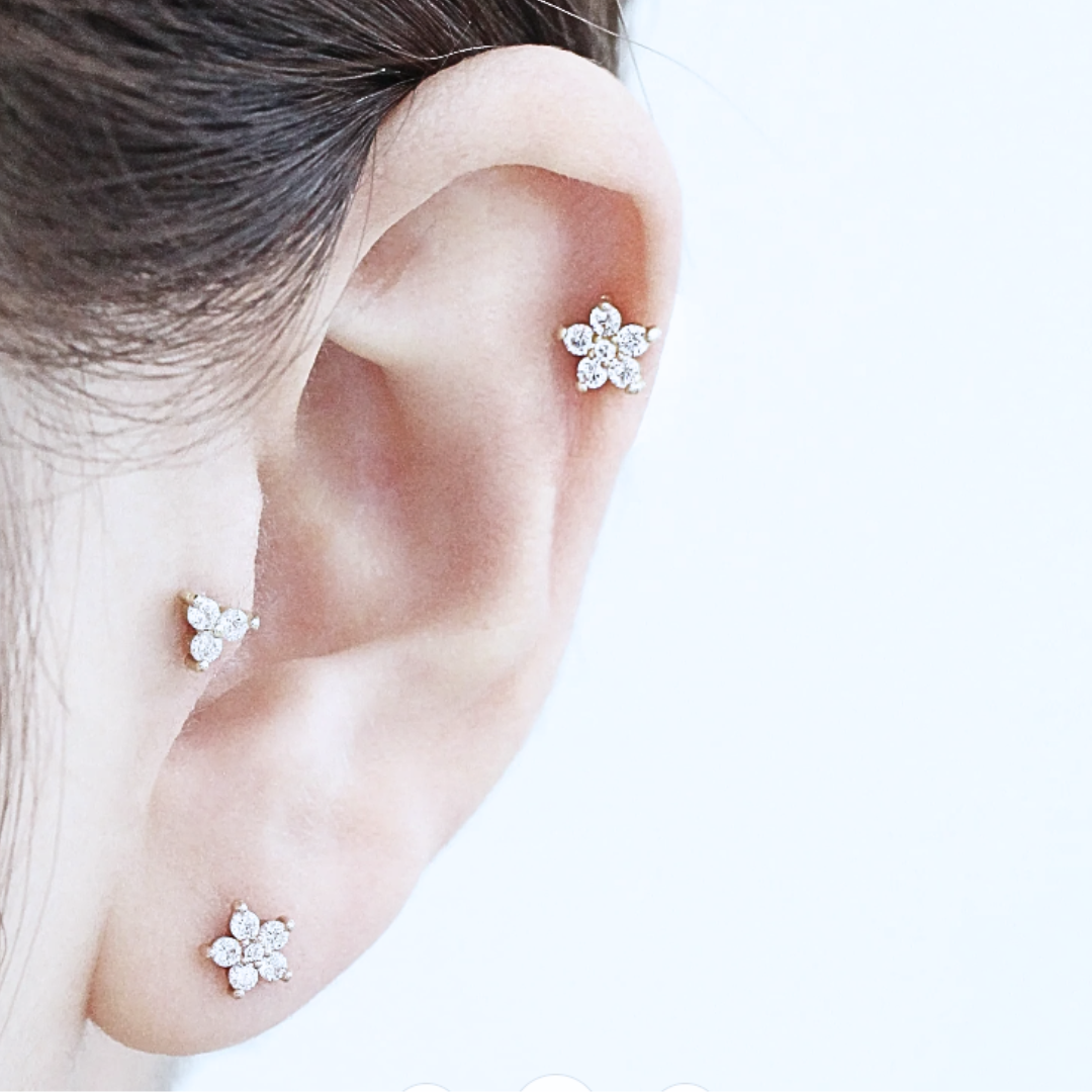 Internally Threaded Steel 5 Petal Flower Tragus Labret