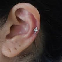 G23 Titanium Threadless Push In Marquise CZ Long Flower Labret