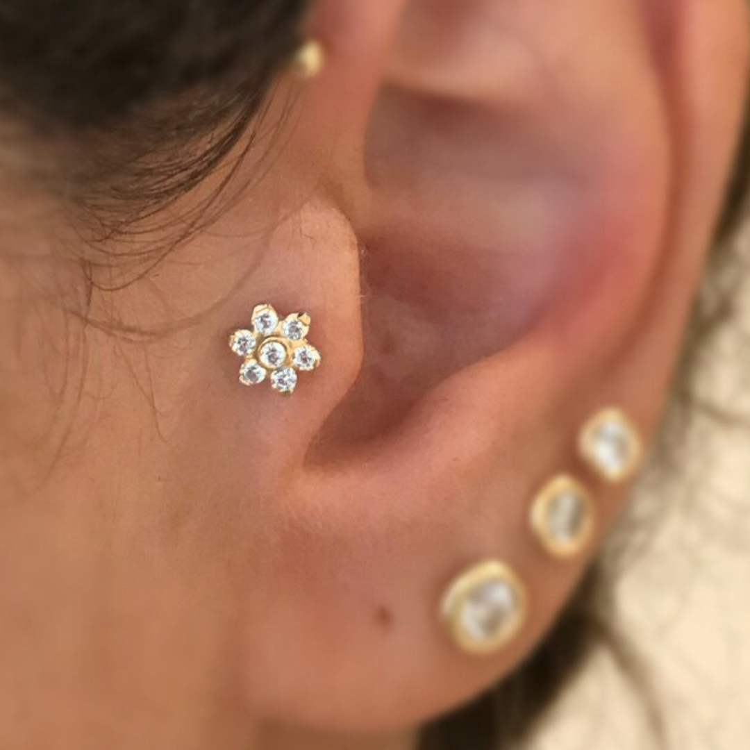 G23 Gold PVD Titanium Internally Threaded Bezel Set CZ Flower Tragus Labret