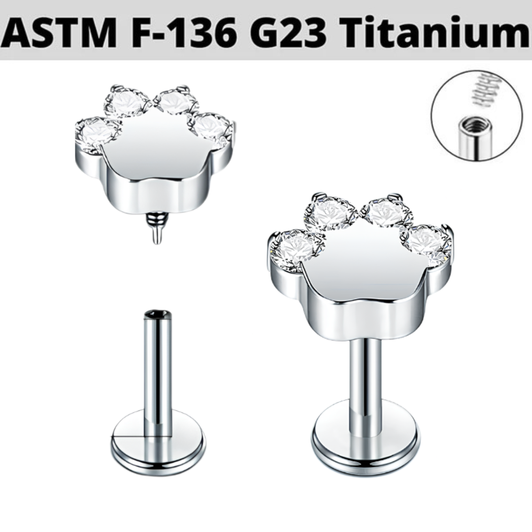 G23 Titanium Internally Threaded Paw CZ Tragus Labret