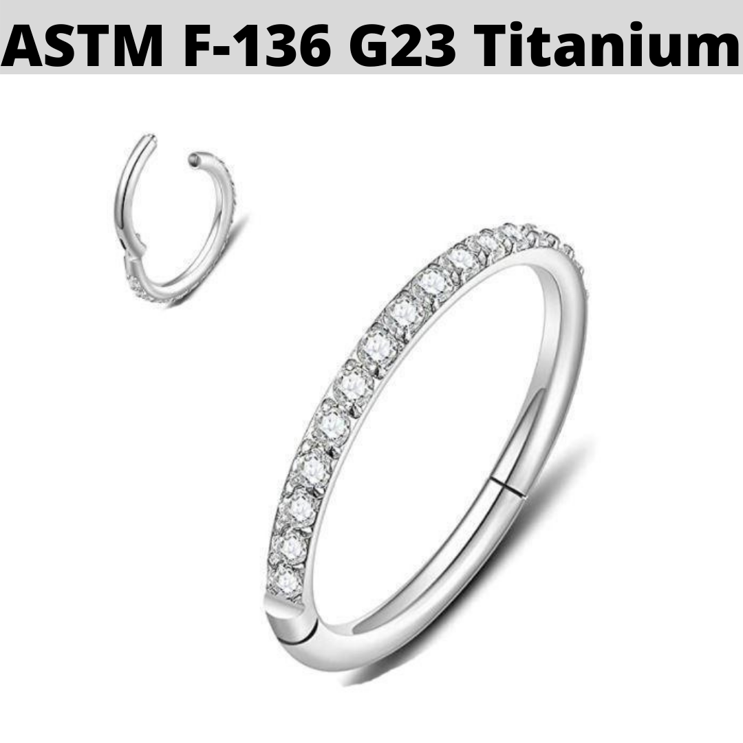 G23 Titanium Paved CZ Rim Hinged Segment Clicker Ring
