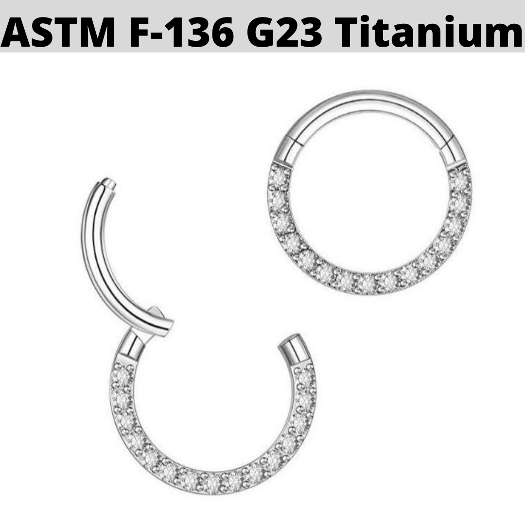 G23 Titanium Front CZ Hinged Segment Clicker Ring
