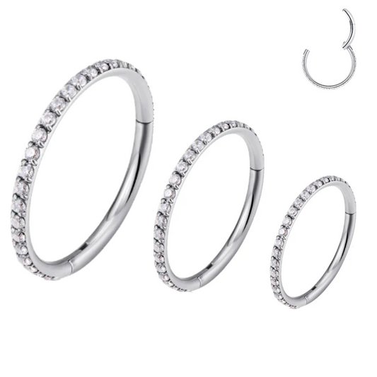 Precise Steel Paved CZ Rim Hinged Segment Clicker Ring