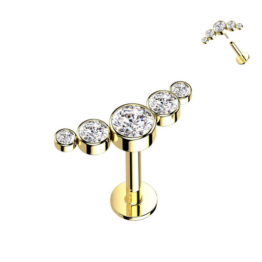 Gold Steel Threadless Push In 5 CZ Cluster Ion Plated Tragus Labret