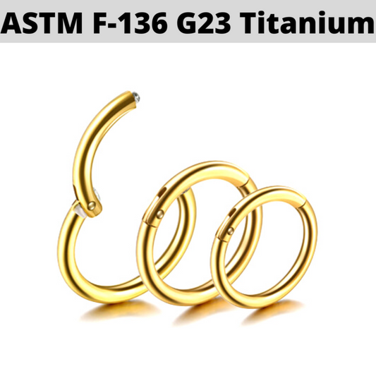 G23 Gold PVD Titanium Hinged Segment Clicker Ring