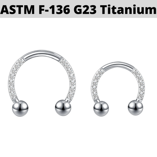 G23 Titanium 16G Paved CZ Horseshoe