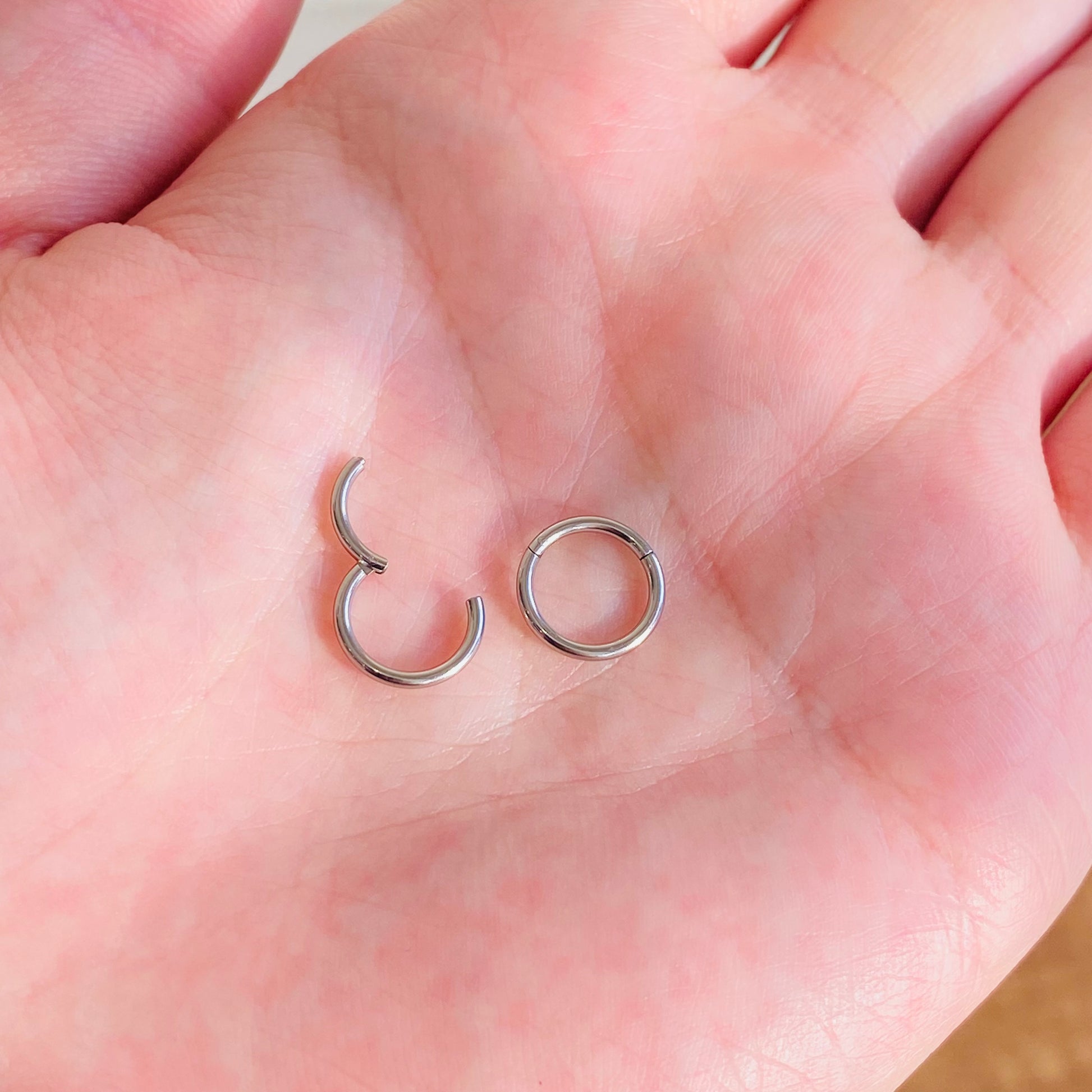 hengkaixuan 2 Stuks Titanium Neus Hoop Ringen Scharnierende Segment Clicker Ringen Kraakbeen Helix Lip Tragus Conch Piercing Sieraden Sleeper Oorbellen Septum Oorlel Hoop Oorbellen, 16G-10mm, Titanium hengkaixuan 2 Stuks Titanium Neus Hoop Ringen Scharnierende Segment Clicker Ringen Kraakbeen Helix Lip Tragus Conch Piercing Sieraden Sleeper Oorbellen Septum Oorlel Hoop Oorbellen, 16G-10mm, Titanium